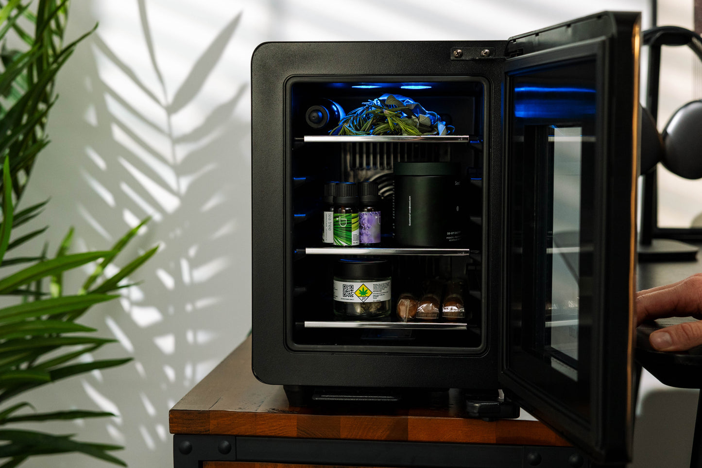 Essential Cooler - Lockable Mini Fridge Temperature & Humidity Control
